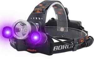 Product image of the Boruit LED UV Head torch